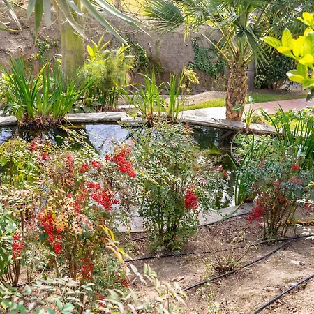 Lägenhet Casablanca 18 Oasis