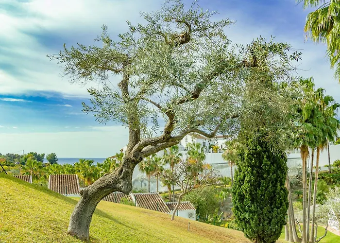 Casablanca 18 Oasis * Nerja