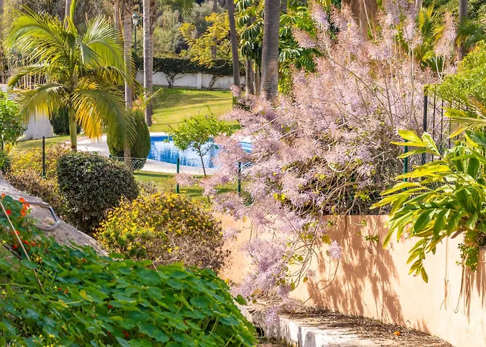 Casablanca 18 Oasis *