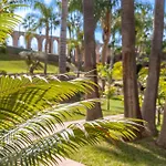 Casablanca 18 Oasis