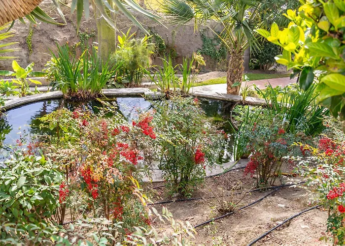 Апартаменты Casablanca 18 Oasis