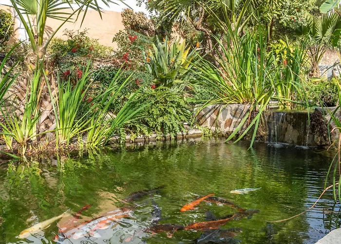 Апартаменты Casablanca 18 Oasis Нерха