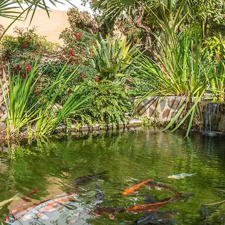 Διαμέρισμα Casablanca 18 Oasis Nerja