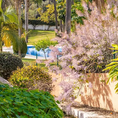 Casablanca 18 Oasis *